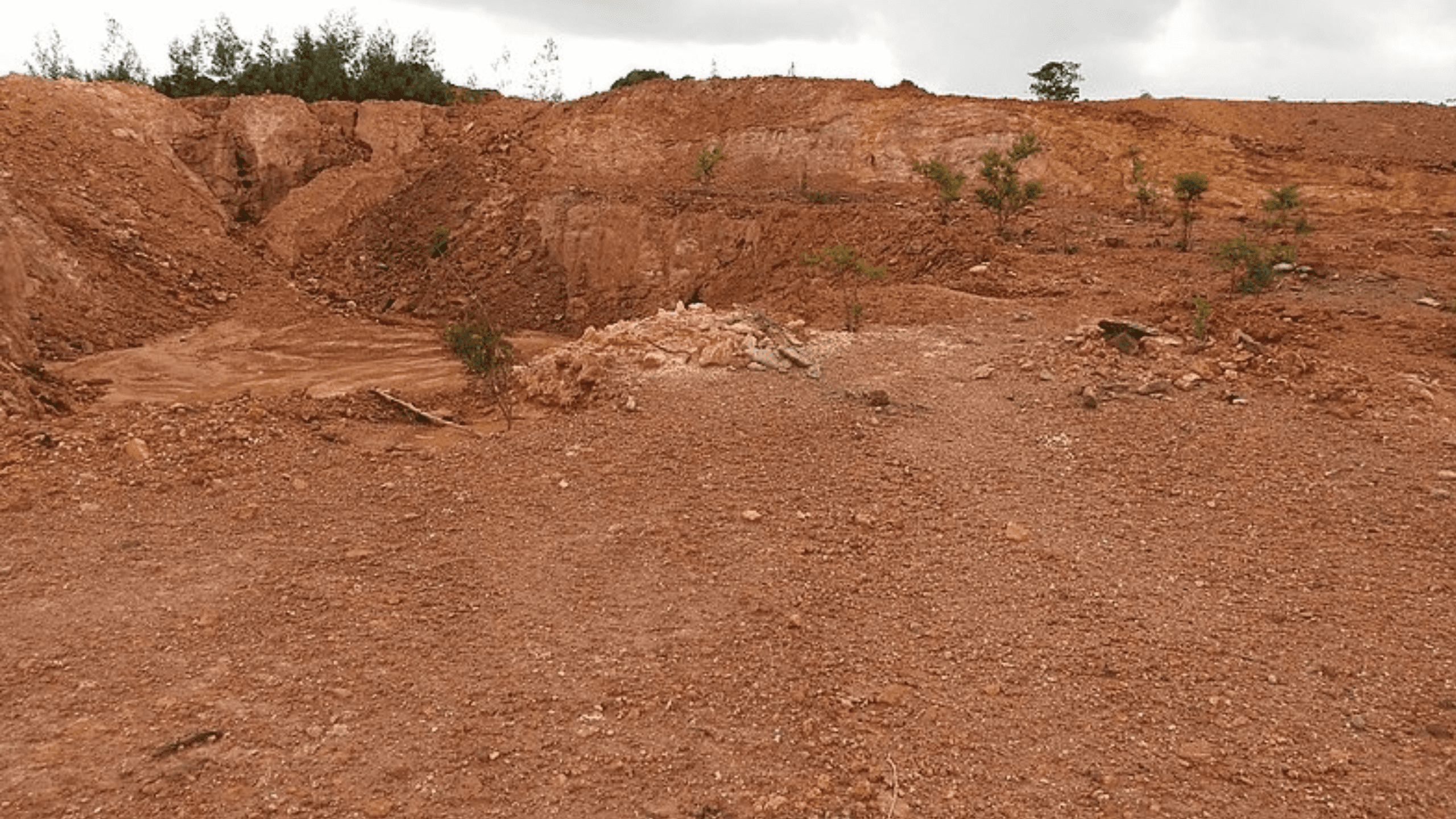Adivasis Sidelined in Corporate TugofWar Over Odisha Bauxite Block